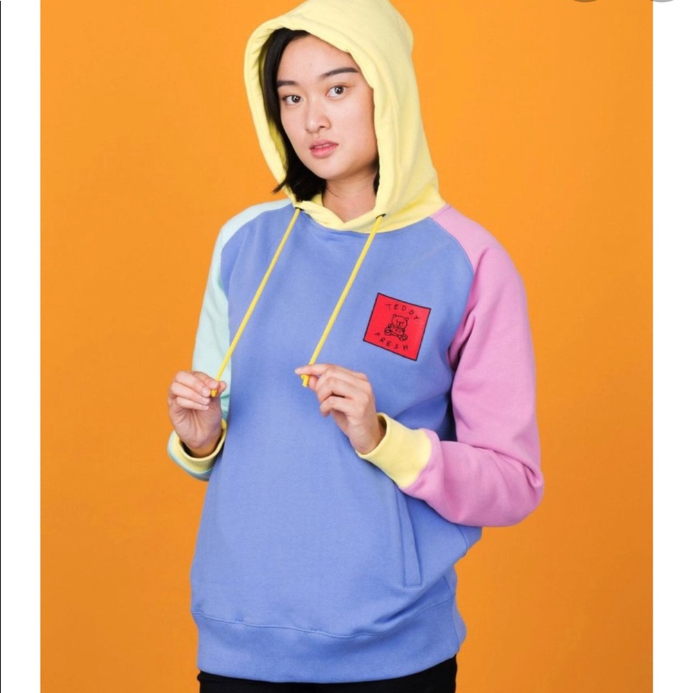 Teddy fresh color block hoodie